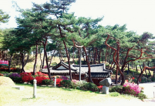 1000기가 넘는 묘와 재실이 있는 등 장묘문화가 살아 숨 쉬는 대전 동구 이사동 한옥마을숲(사진제공=산림청)